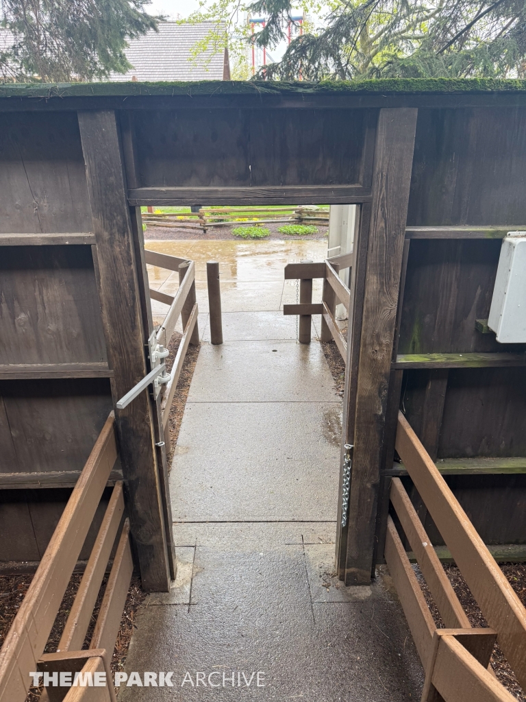 Maverick at Cedar Point