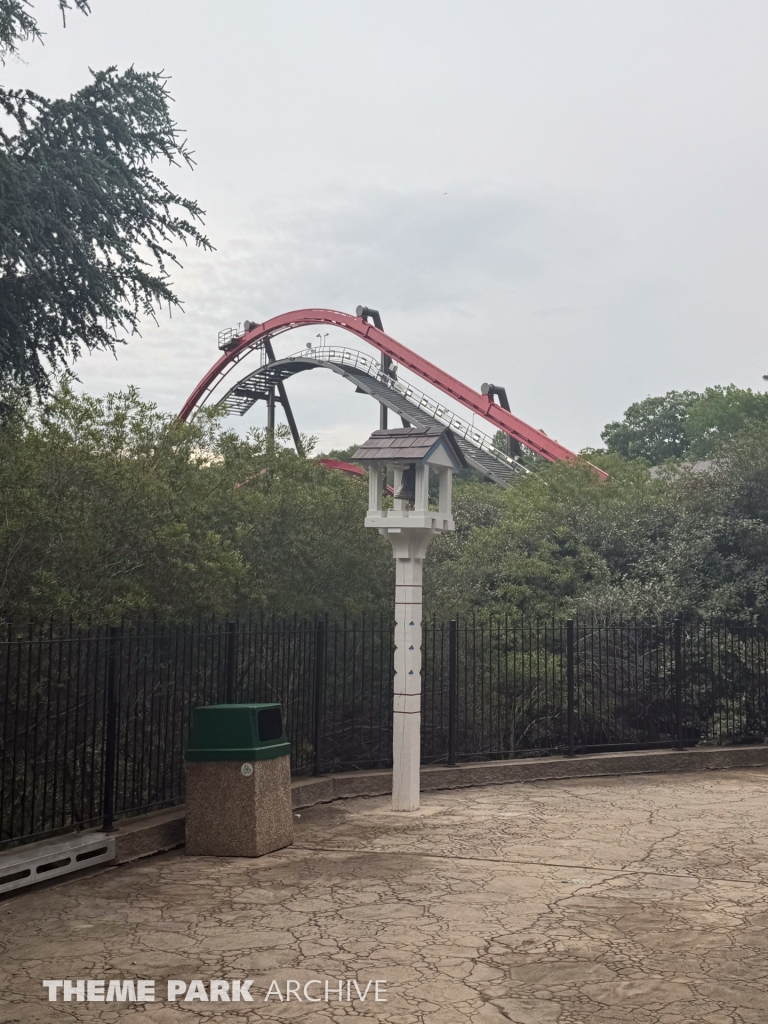 The Big Bad Wolf: The Wolf's Revenge at Busch Gardens Williamsburg