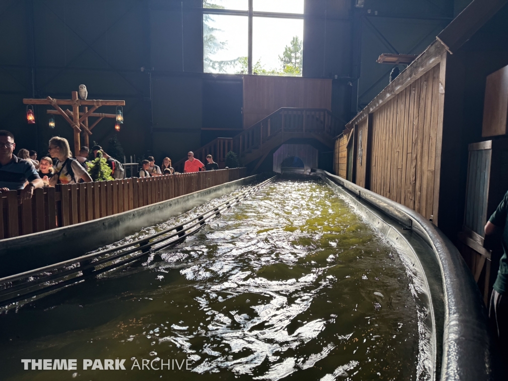 Backstroke at Toverland