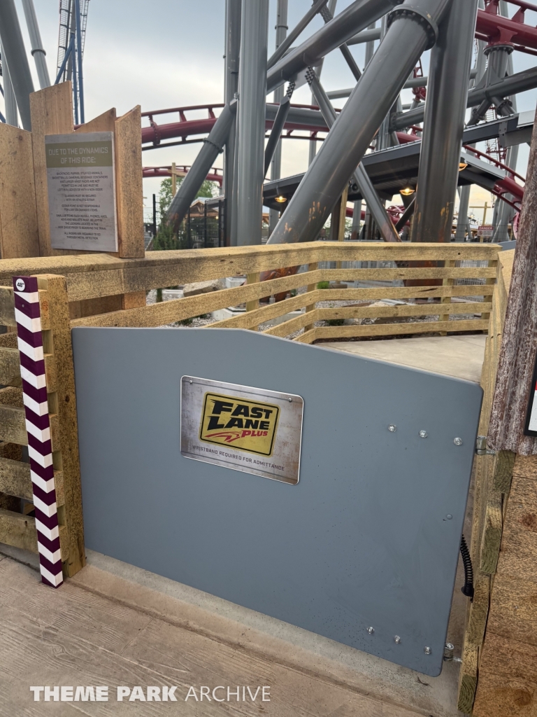 Siren's Curse at Cedar Point