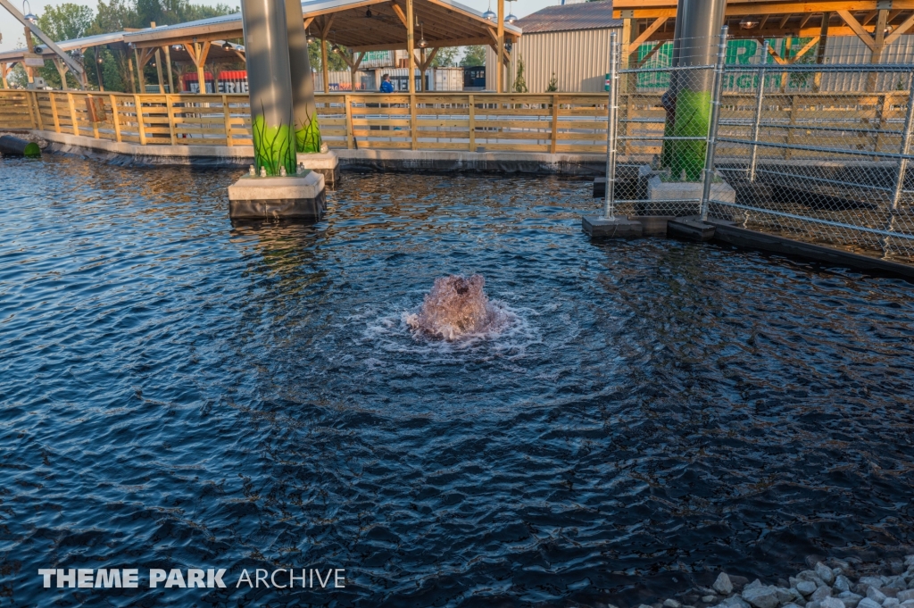 Siren's Curse at Cedar Point