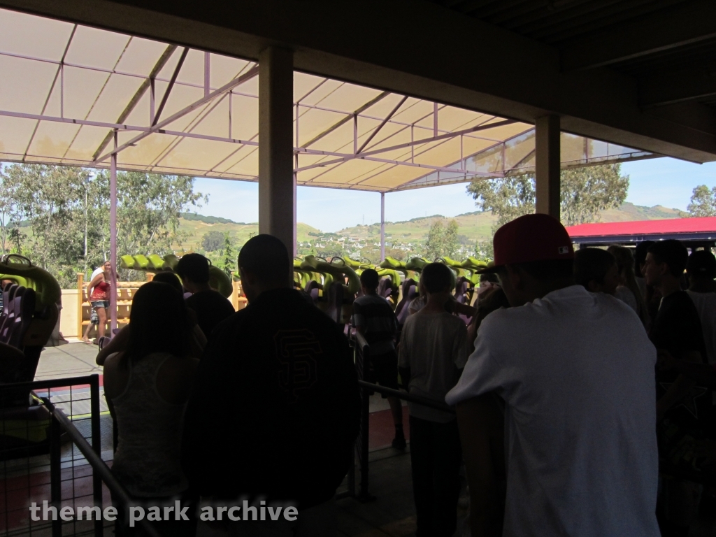 Medusa at Six Flags Discovery Kingdom