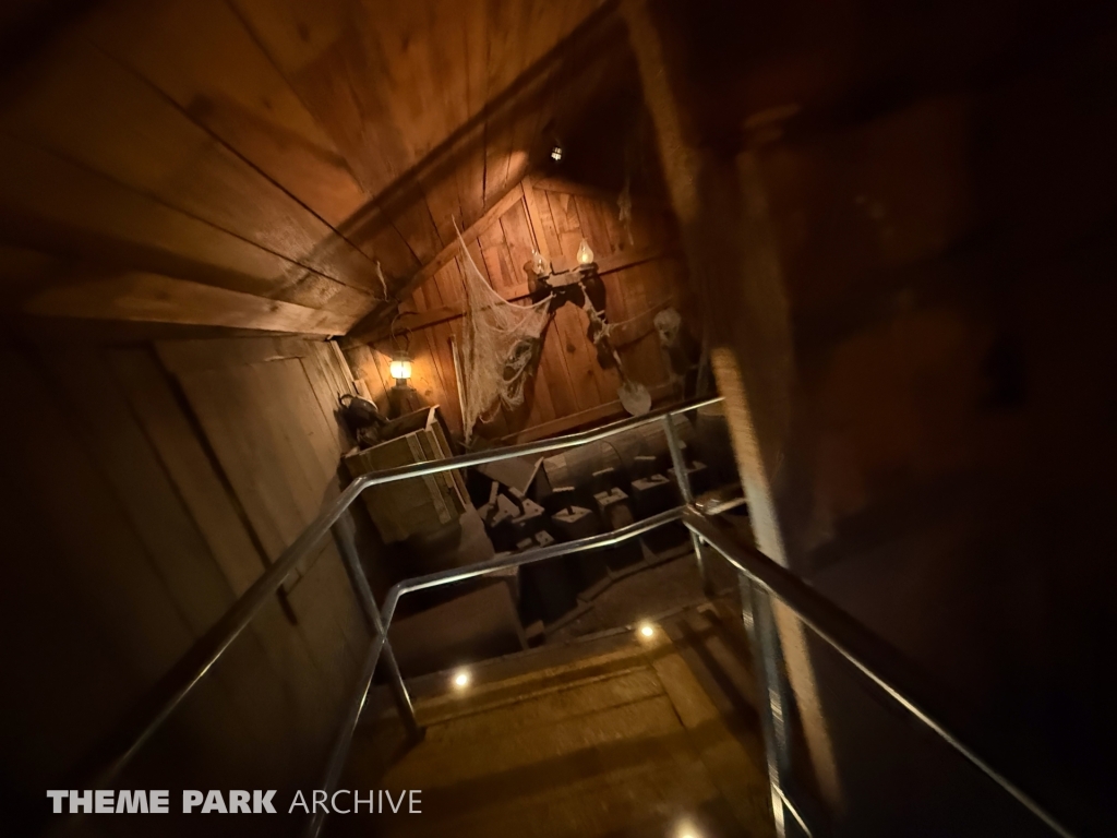 Medusa Steel Coaster at Six Flags Mexico