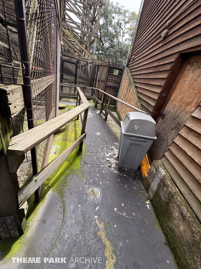 Medusa Steel Coaster at Six Flags Mexico