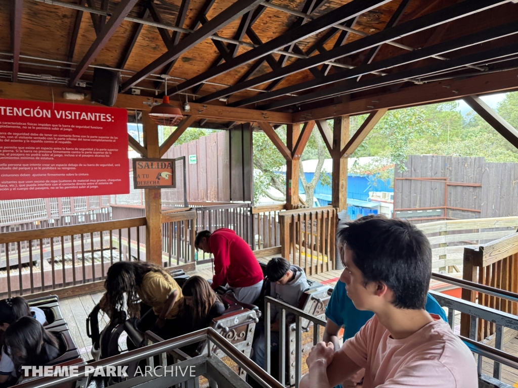 Medusa Steel Coaster at Six Flags Mexico