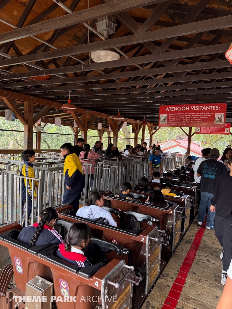 Medusa Steel Coaster at Six Flags Mexico