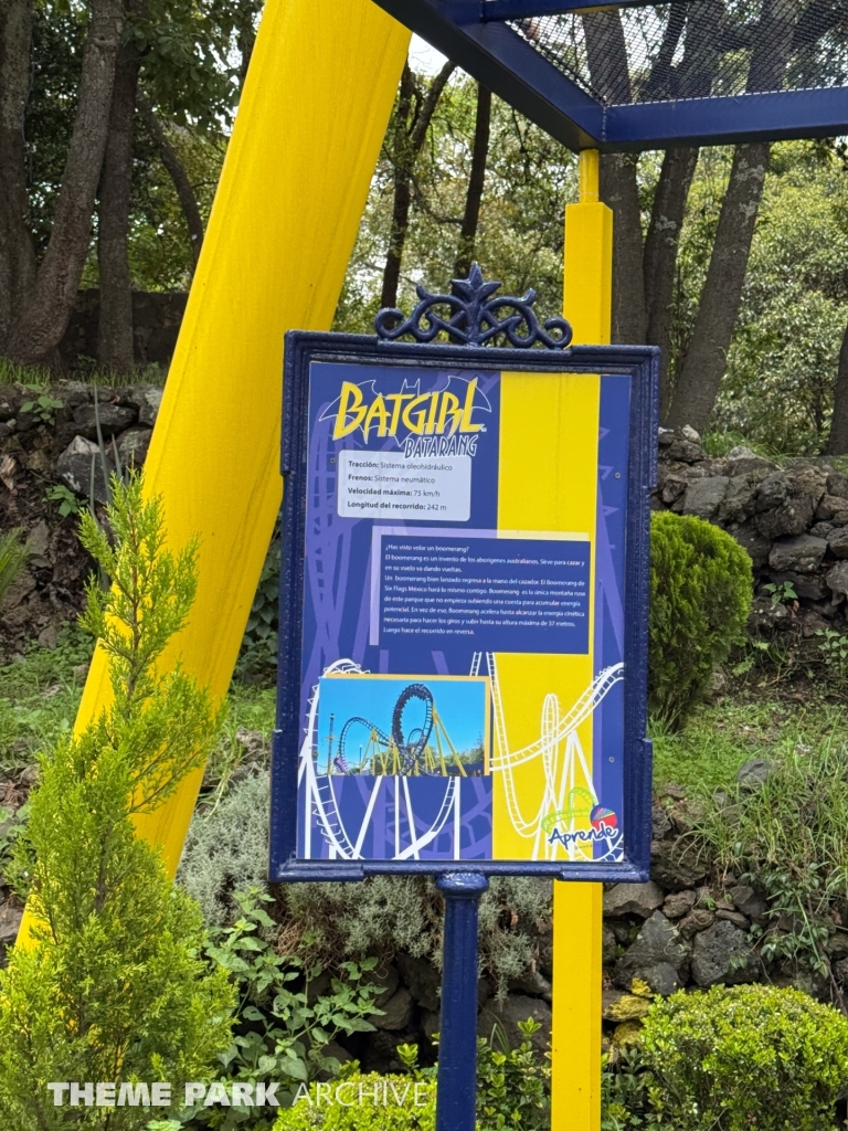 Batgirl Batarang at Six Flags Mexico