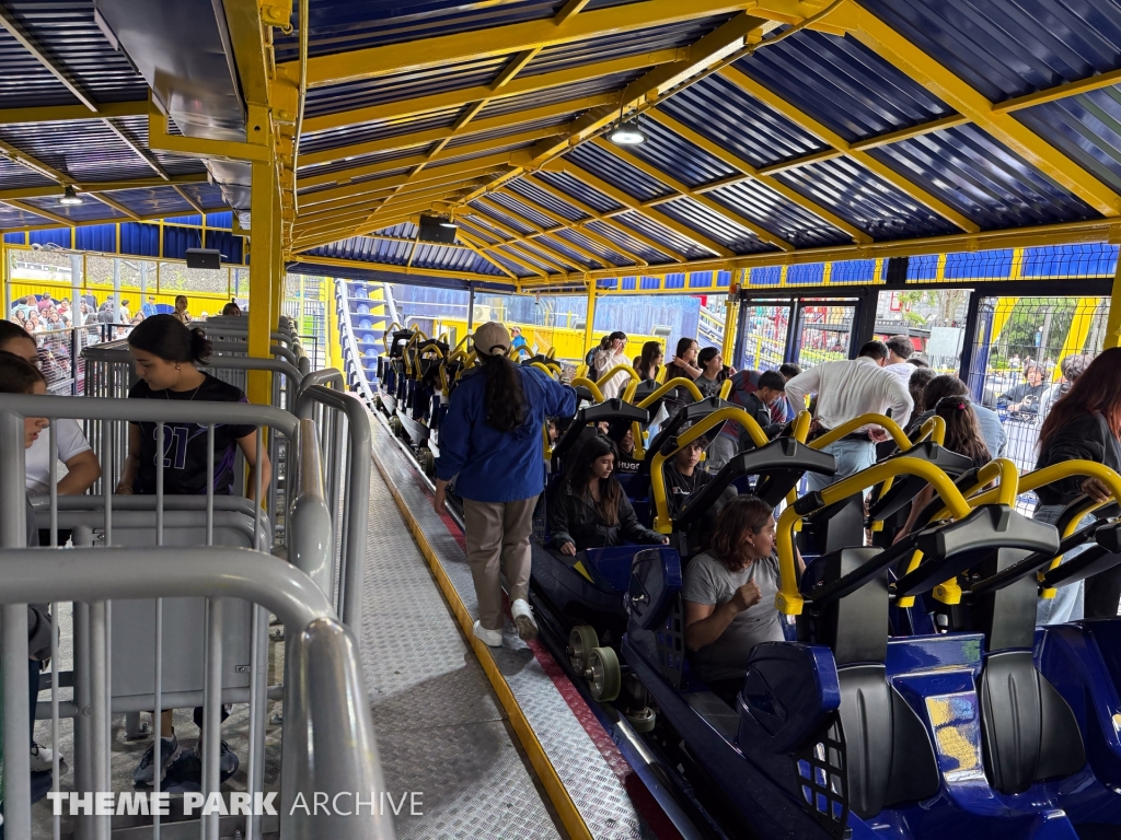 Batgirl Batarang at Six Flags Mexico