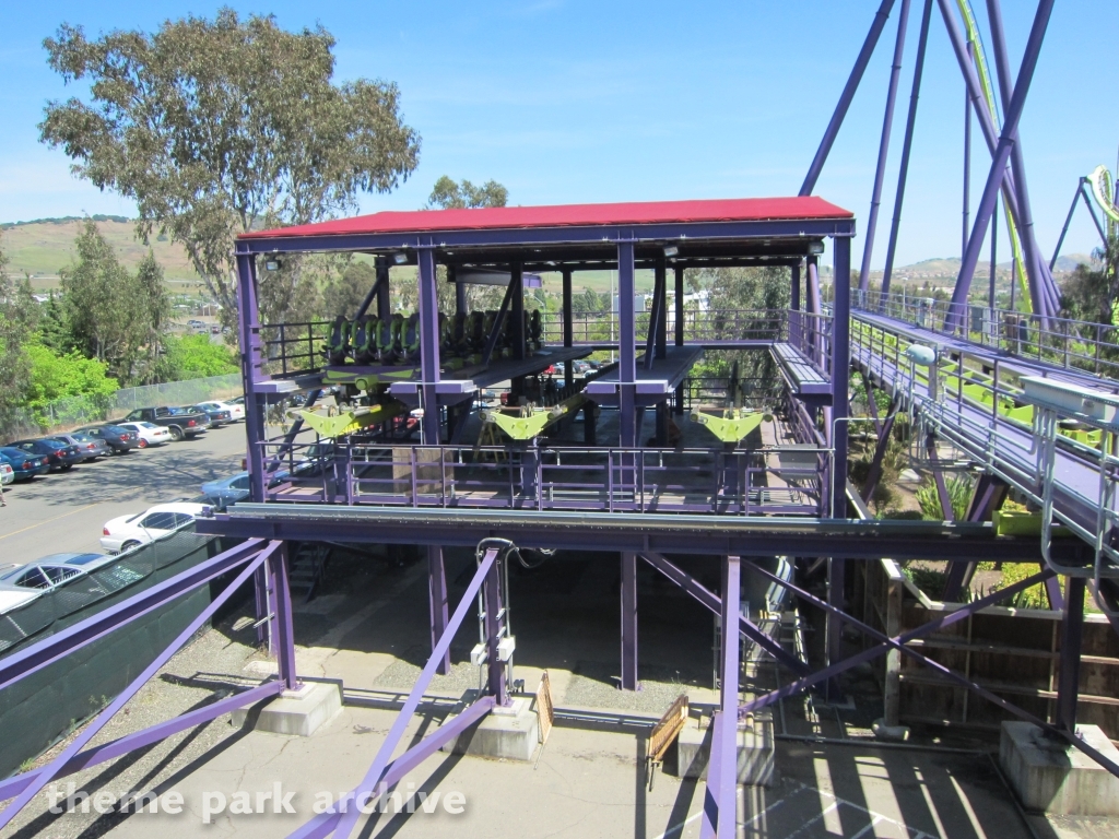Medusa at Six Flags Discovery Kingdom