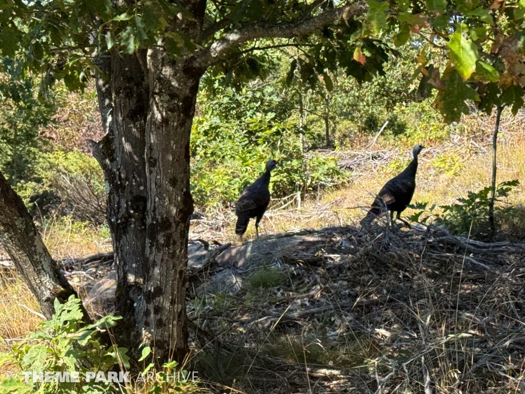 Misc at Santa's Village Muskoka's Theme Park