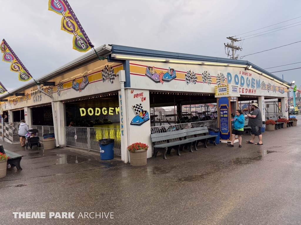 Bumper Cars at Palace Playland
