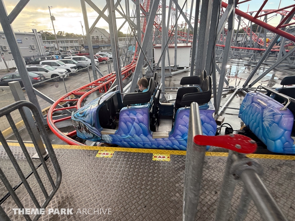 Sea Viper at Palace Playland