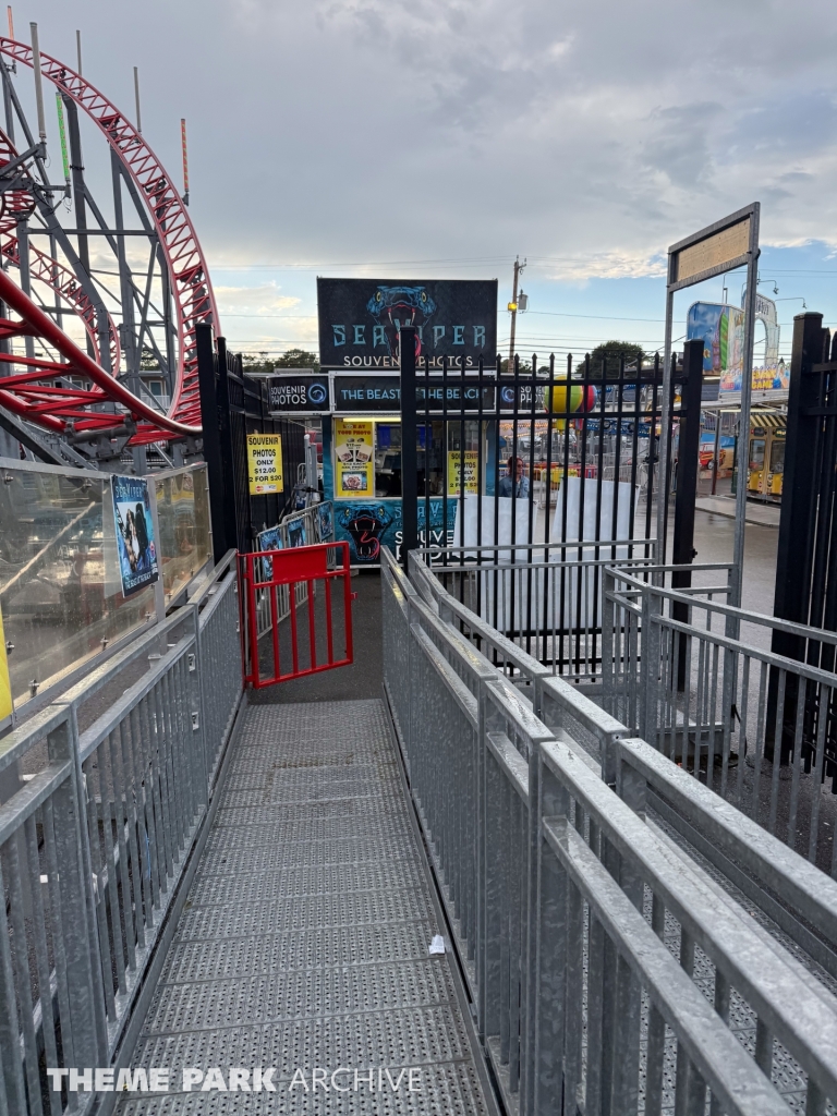 Sea Viper at Palace Playland