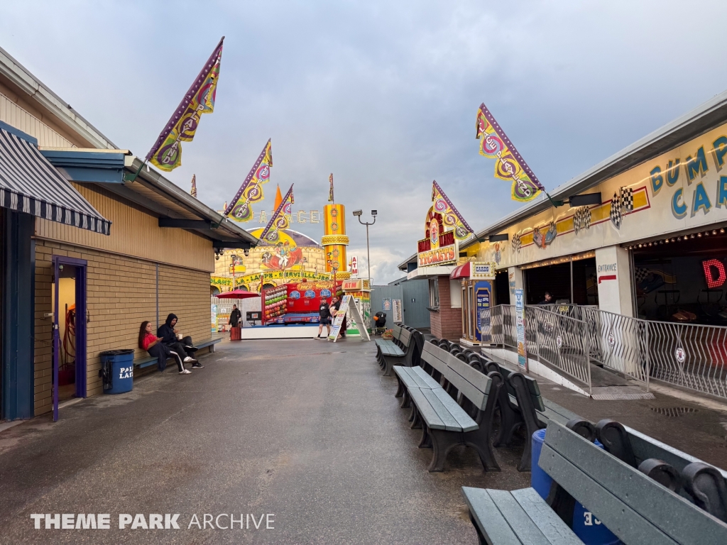 Bumper Cars at Palace Playland