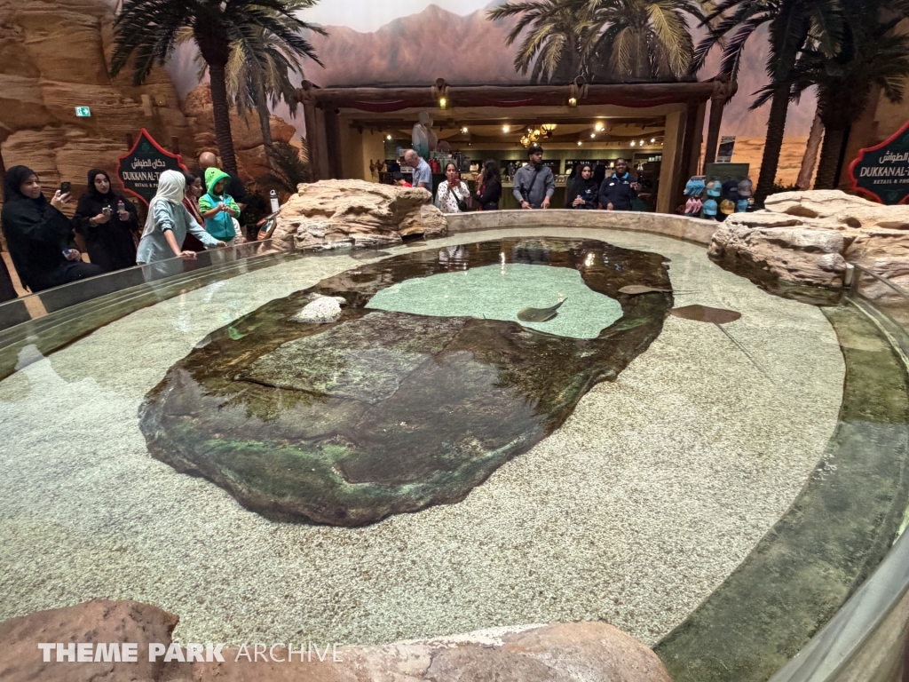 The Mangroves at SeaWorld Yas Island