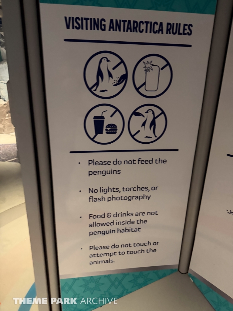 Antarctica at SeaWorld Yas Island