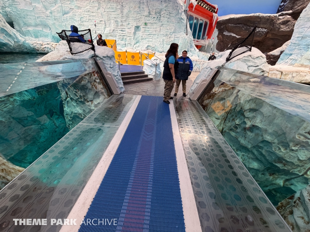 Antarctica at SeaWorld Yas Island