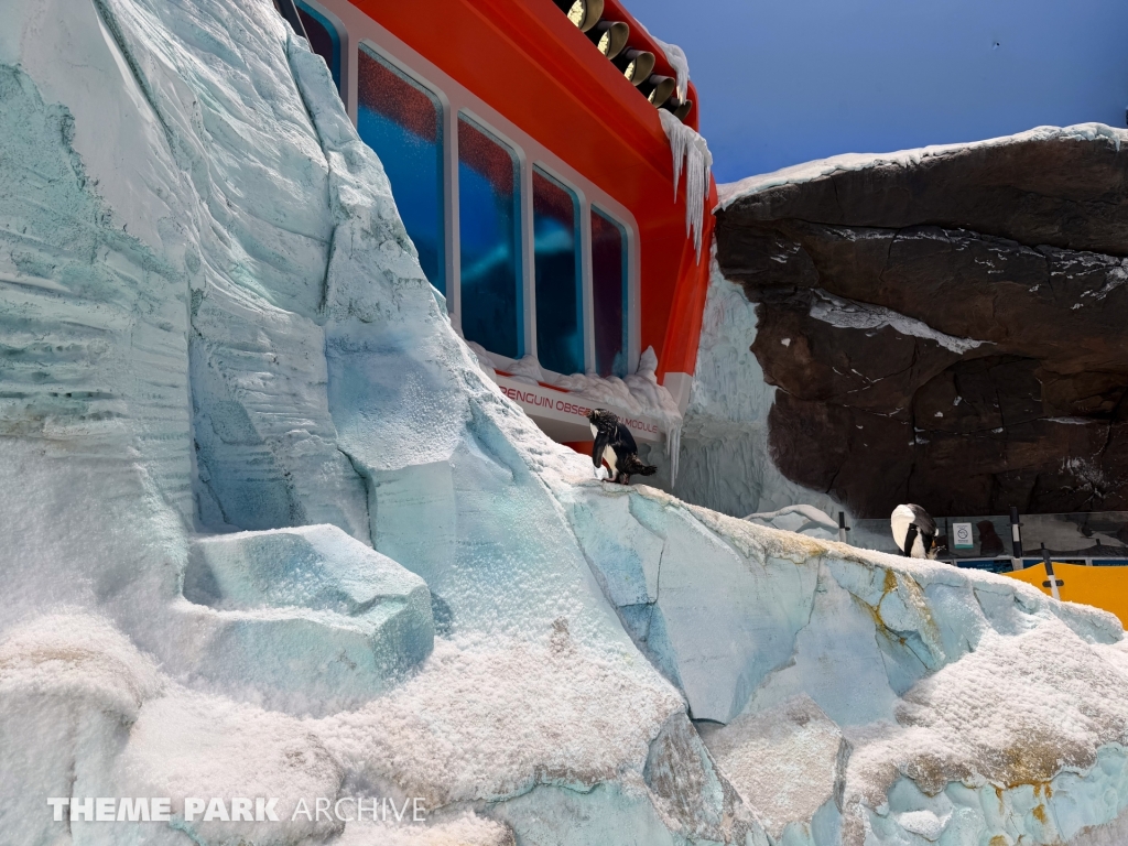 Antarctica at SeaWorld Yas Island