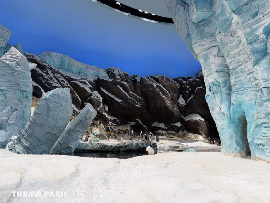 Antarctica at SeaWorld Yas Island