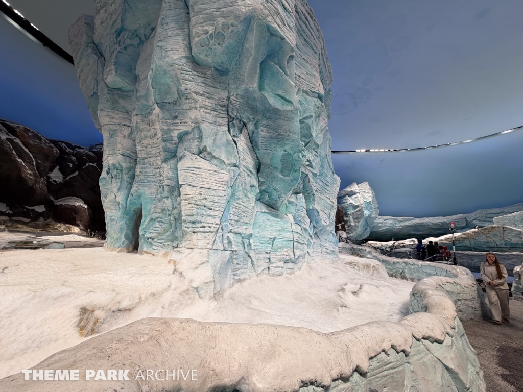 Antarctica at SeaWorld Yas Island