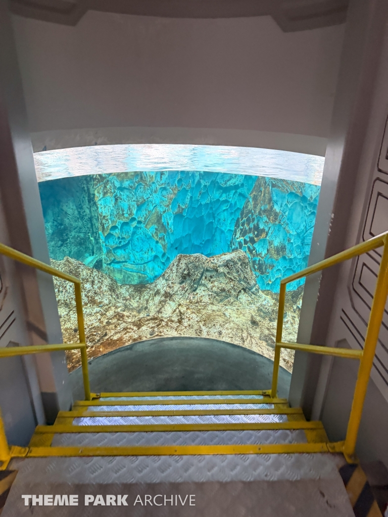 Antarctica at SeaWorld Yas Island