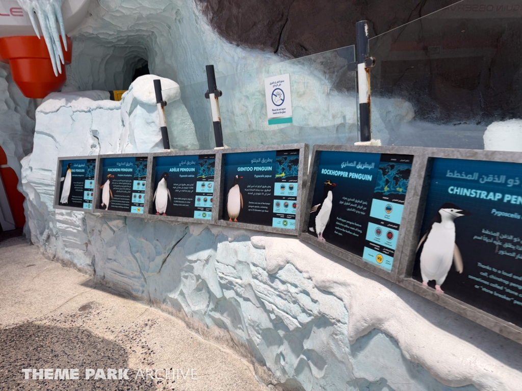 Antarctica at SeaWorld Yas Island