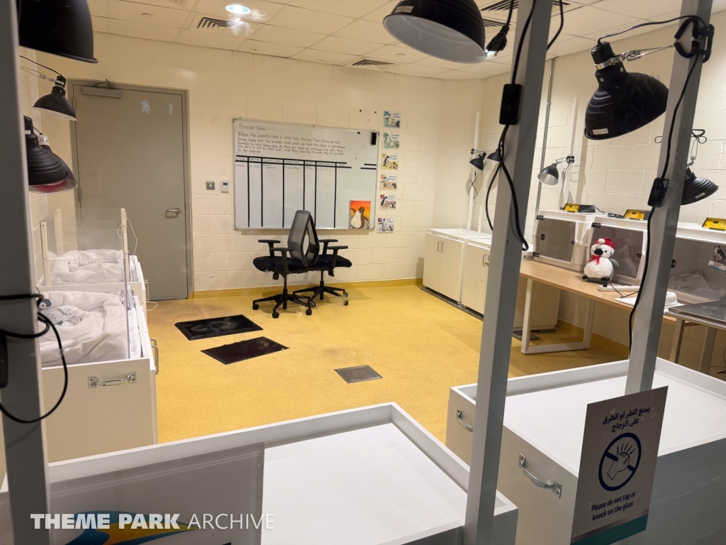 Antarctica at SeaWorld Yas Island