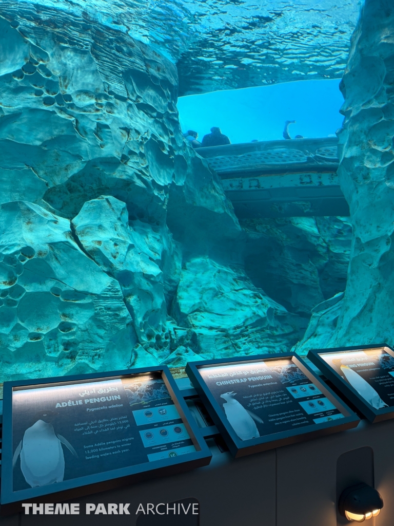 Antarctica at SeaWorld Yas Island