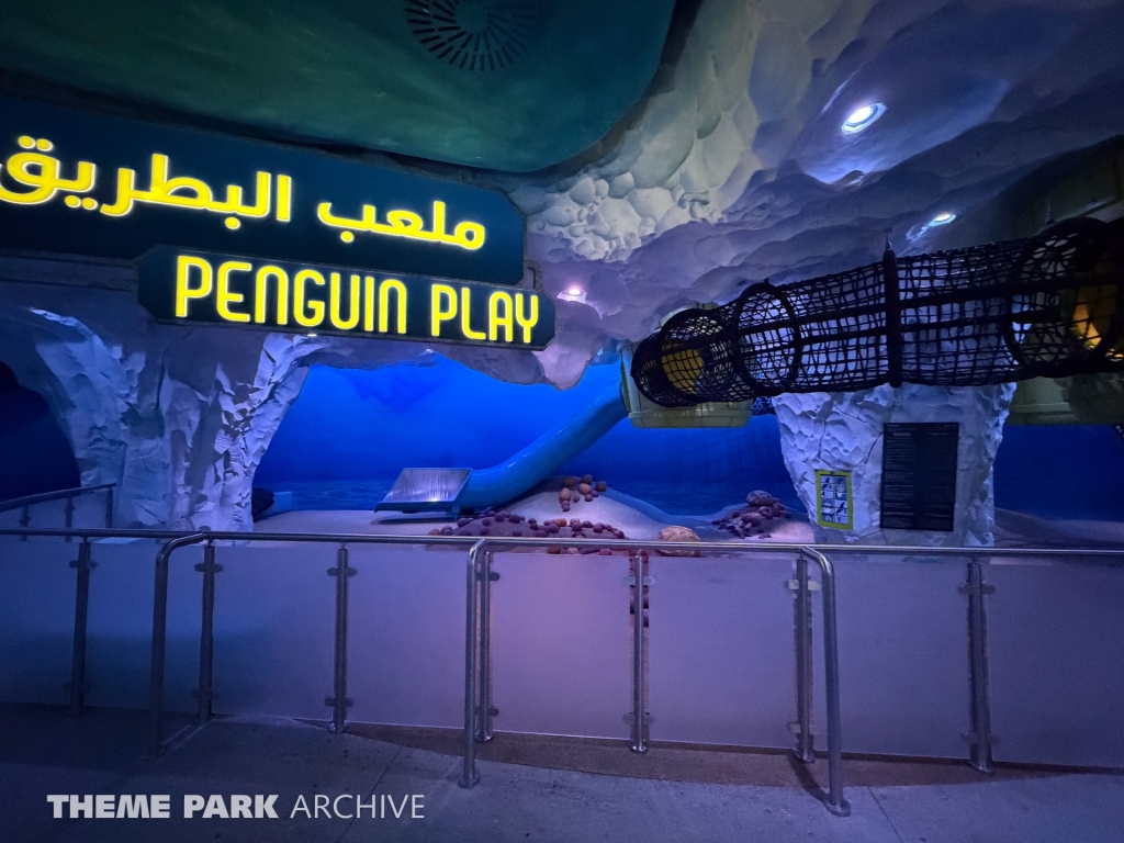 Antarctica at SeaWorld Yas Island
