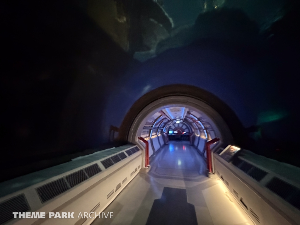 Arctic at SeaWorld Yas Island