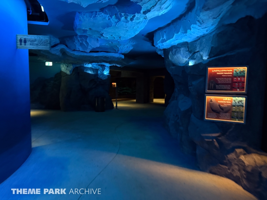 Arctic at SeaWorld Yas Island