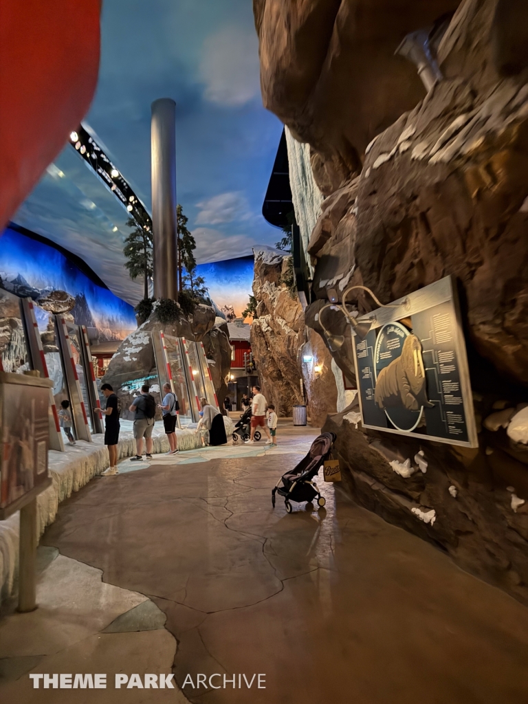 Arctic at SeaWorld Yas Island