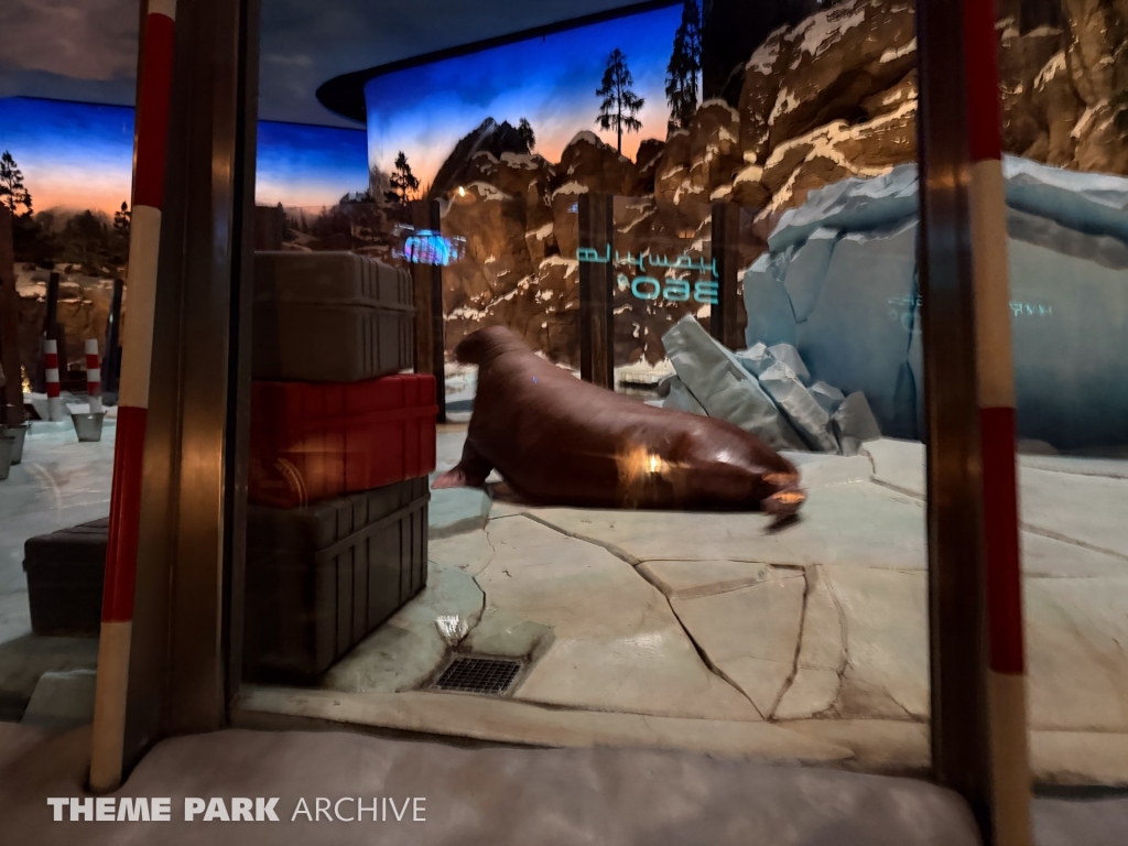 Arctic at SeaWorld Yas Island