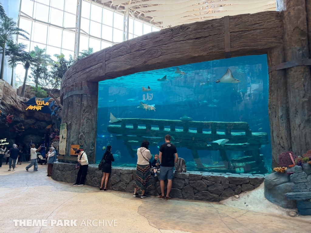 Tropical Ocean at SeaWorld Yas Island