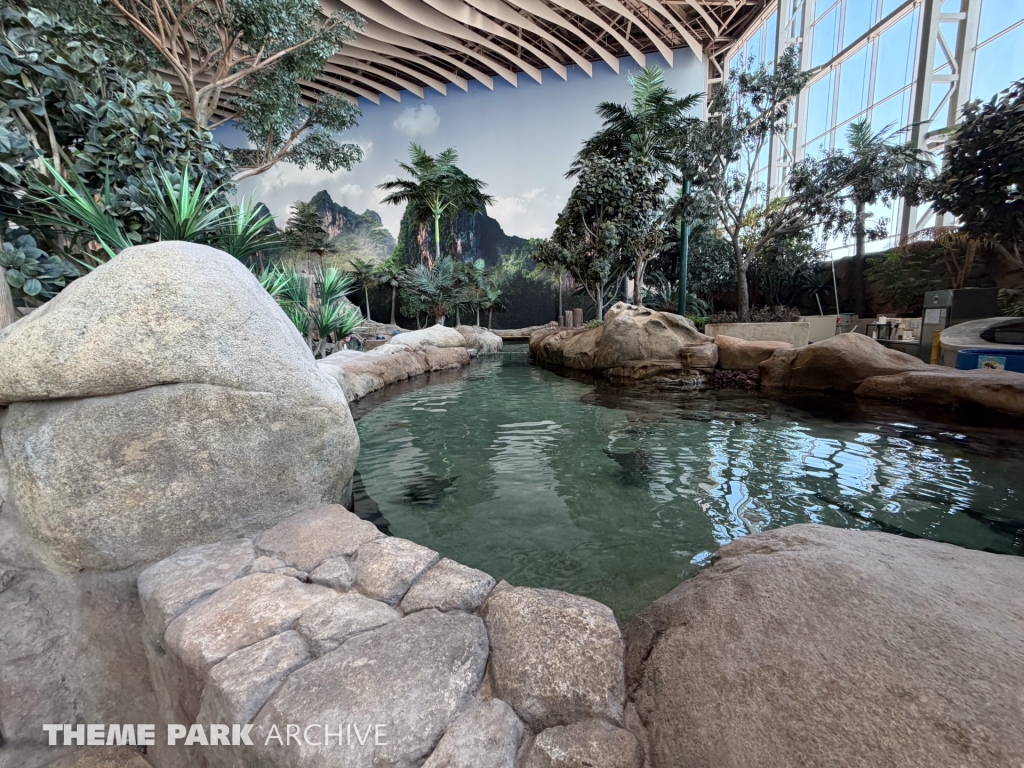 Tropical Ocean at SeaWorld Yas Island