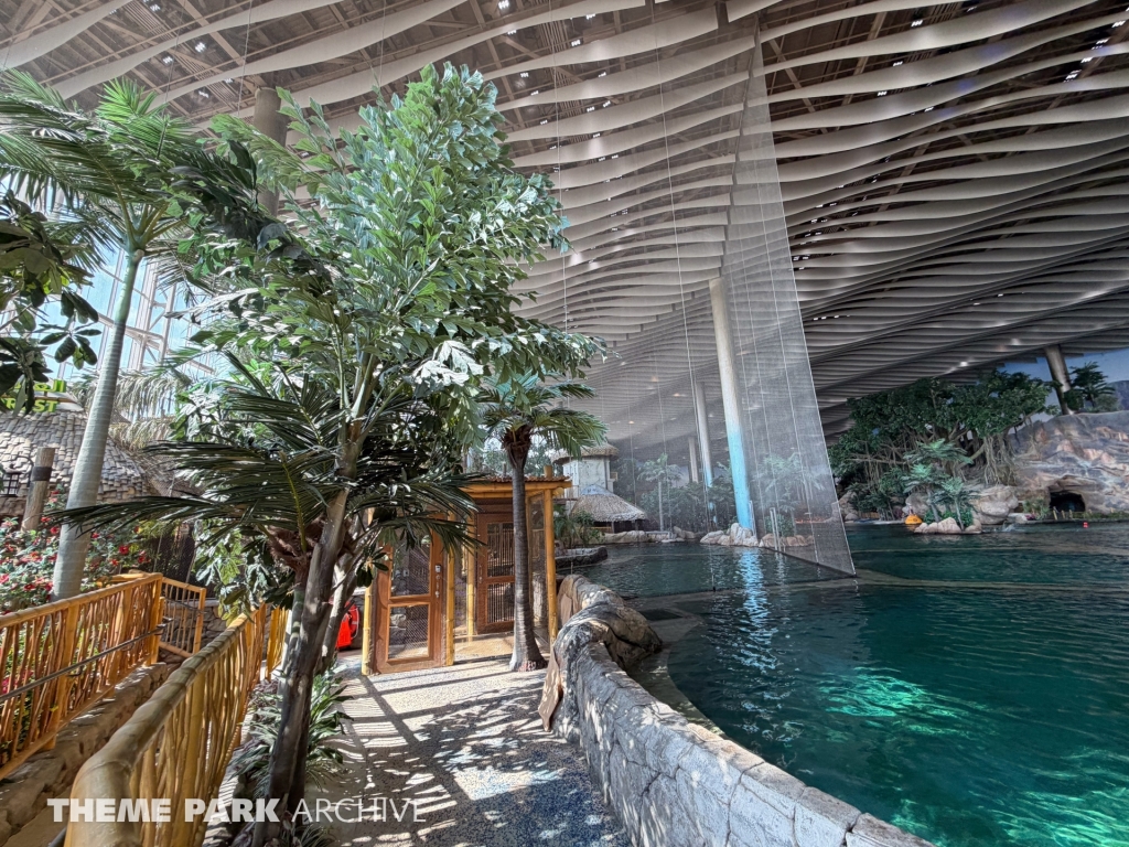 The Rainforest at SeaWorld Yas Island