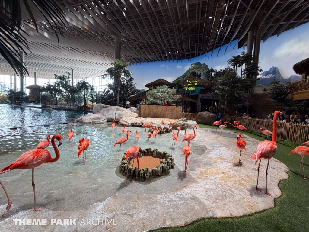 Flamingo Point at SeaWorld Yas Island