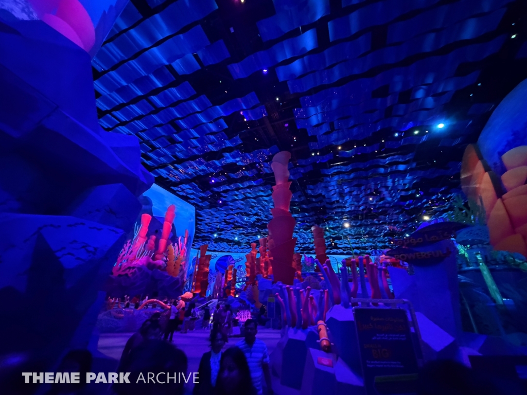 Microocean at SeaWorld Yas Island