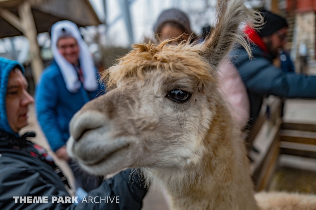 The Barnyard at Cedar Point