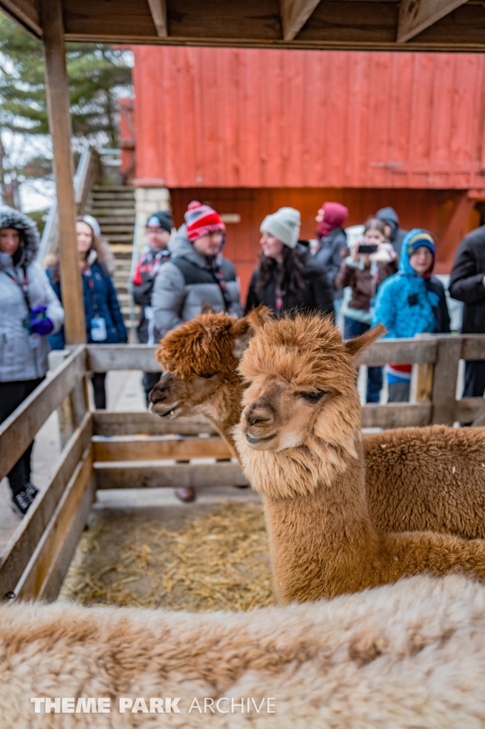 The Barnyard at Cedar Point