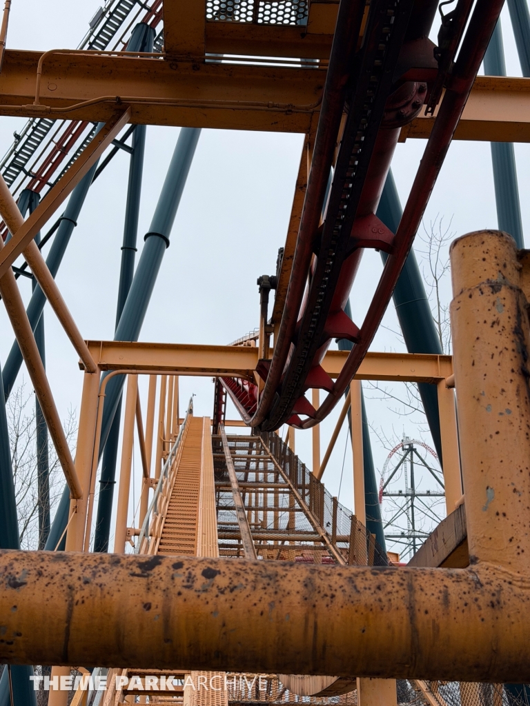 Iron Dragon at Cedar Point