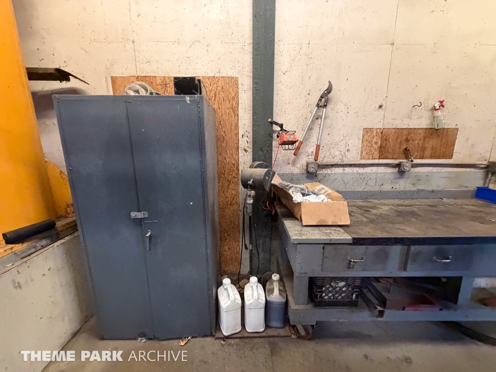 Iron Dragon at Cedar Point