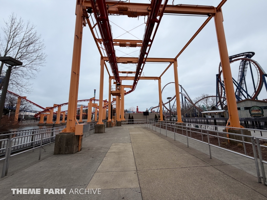 Iron Dragon at Cedar Point