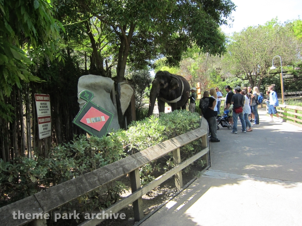 Tava's Jungleland at Six Flags Discovery Kingdom