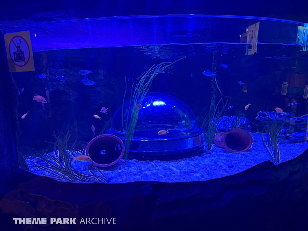 Submarine Adventure at LEGOLAND Dubai