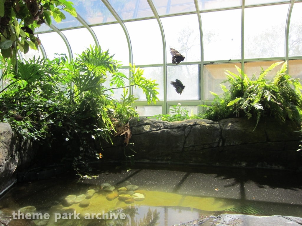 Wild Life at Six Flags Discovery Kingdom