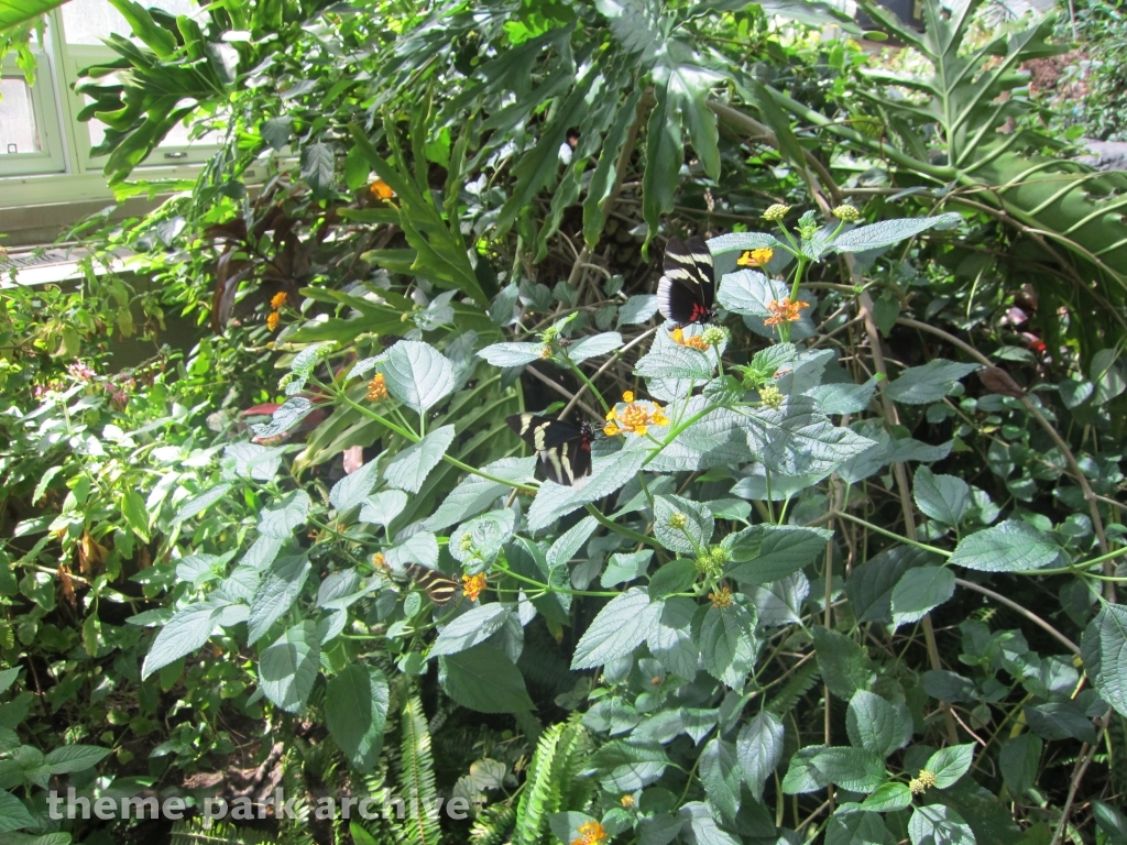 Wild Life at Six Flags Discovery Kingdom