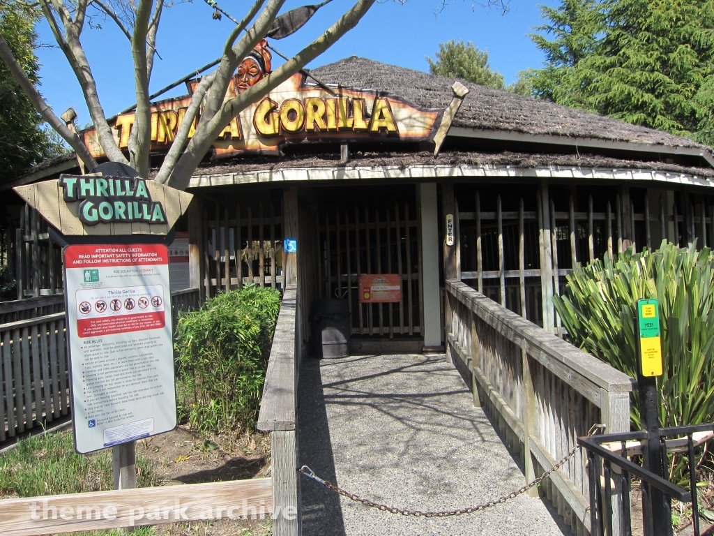 Thrilla Gorilla at Six Flags Discovery Kingdom