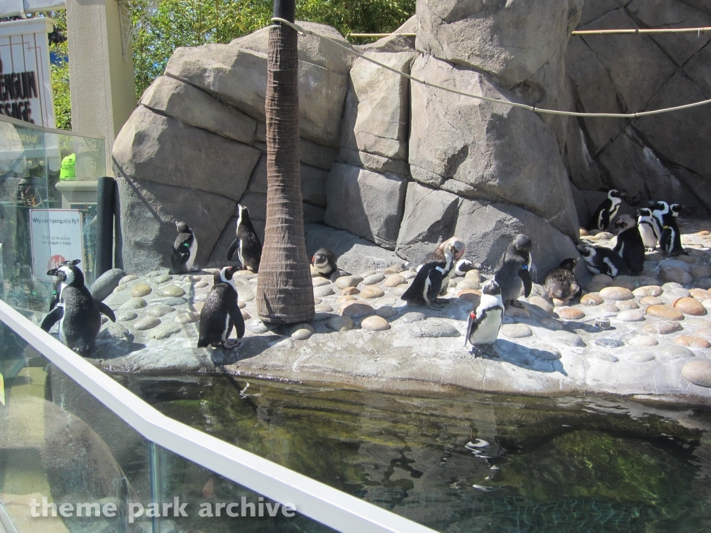 Penguin Passage at Six Flags Discovery Kingdom