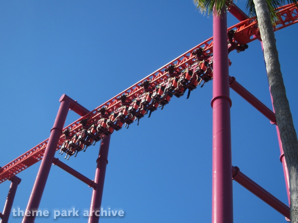 The Flash: Vertical Velocity at Six Flags Discovery Kingdom